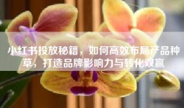 小红书投放秘籍，如何高效布局产品种草，打造品牌影响力与转化双赢