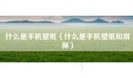 什么是手机壁纸（什么是手机壁纸和屏保）