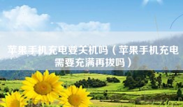 苹果手机充电要关机吗（苹果手机充电需要充满再拔吗）