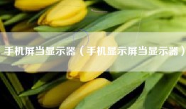 手机屏当显示器（手机显示屏当显示器）