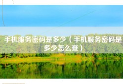 手机服务密码是多少（手机服务密码是多少怎么查）
