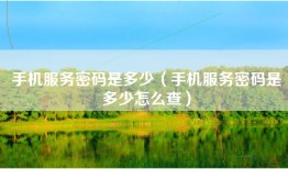 手机服务密码是多少（手机服务密码是多少怎么查）