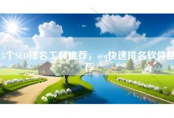 5个SEO排名工具推荐，seo快速排名软件推荐