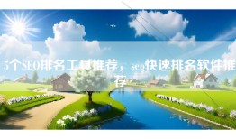 5个SEO排名工具推荐，seo快速排名软件推荐