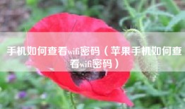 手机如何查看wifi密码（苹果手机如何查看wifi密码）