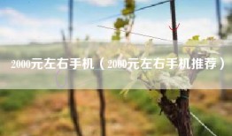2000元左右手机（2000元左右手机推荐）