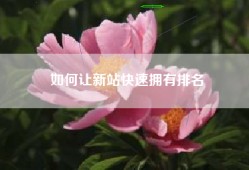 如何让新站快速拥有排名