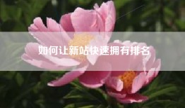 如何让新站快速拥有排名