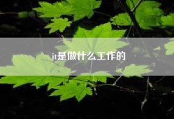 it是做什么工作的