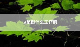 it是做什么工作的
