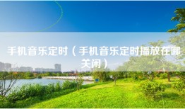 手机音乐定时（手机音乐定时播放在哪关闲）