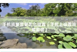 手机流量套餐怎么设置（手机上设置流量套餐）
