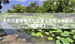 手机流量套餐怎么设置（手机上设置流量套餐）