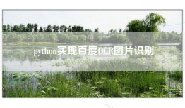 python实现百度OCR图片识别