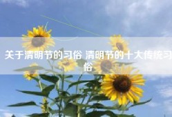 关于清明节的习俗 清明节的十大传统习俗