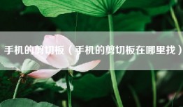 手机的剪切板（手机的剪切板在哪里找）
