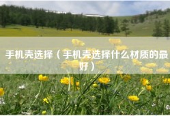 手机壳选择（手机壳选择什么材质的最好）