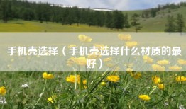 手机壳选择（手机壳选择什么材质的最好）