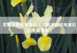 苹果手机充电重启（苹果手机充电重启后电量增加）