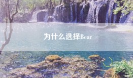 为什么选择Bear