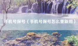 手机号保号（手机号保号怎么重新用）