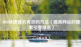 SEO快速排名有效的方法（提高网站的搜索引擎排名）