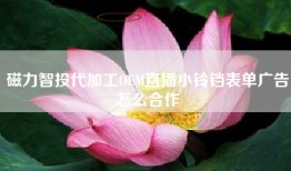 磁力智投代加工OEM直播小铃铛表单广告怎么合作