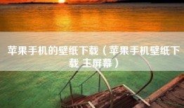 苹果手机的壁纸下载（苹果手机壁纸下载 主屏幕）