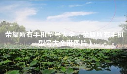 荣耀所有手机型号大全（荣耀所有手机型号大全带图片）