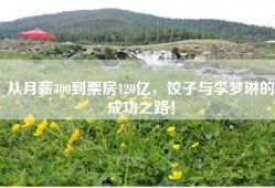 从月薪300到票房120亿，饺子与李梦琳的成功之路！