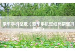 豪车手机壁纸（豪车手机壁纸高清竖屏贴吧）