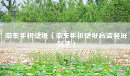豪车手机壁纸（豪车手机壁纸高清竖屏贴吧）