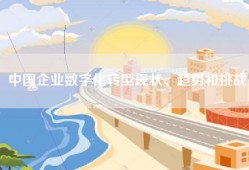 中国企业数字化转型现状、趋势和挑战