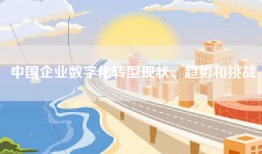 中国企业数字化转型现状、趋势和挑战