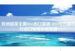 欧洲国家无需IOSS出口渠道 IOSS号代缴代付出口专线小包渠道