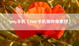 p00p手机（P00P手机哪种像素好）