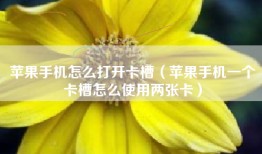 苹果手机怎么打开卡槽（苹果手机一个卡槽怎么使用两张卡）