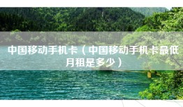 中国移动手机卡（中国移动手机卡最低月租是多少）