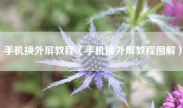 手机换外屏教程（手机换外屏教程图解）