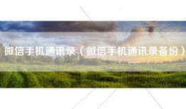 微信手机通讯录（微信手机通讯录备份）