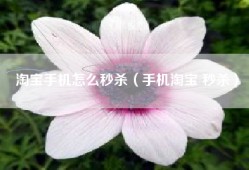 淘宝手机怎么秒杀（手机淘宝 秒杀）