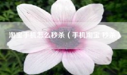 淘宝手机怎么秒杀（手机淘宝 秒杀）