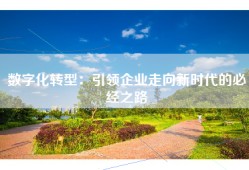 数字化转型：引领企业走向新时代的必经之路