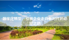 数字化转型：引领企业走向新时代的必经之路