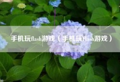 手机玩flash游戏（手机玩Flash游戏）