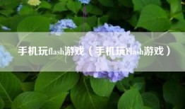手机玩flash游戏（手机玩Flash游戏）