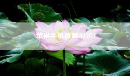 苹果手机流量显示E