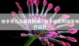 快手发作品最佳时间   快手什么时间发布作品好