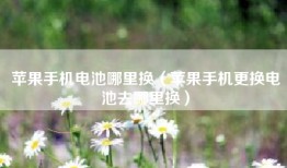 苹果手机电池哪里换（苹果手机更换电池去哪里换）
