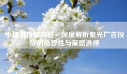 小红书投放攻略，深度解析聚光广告投放的必要性与策略选择